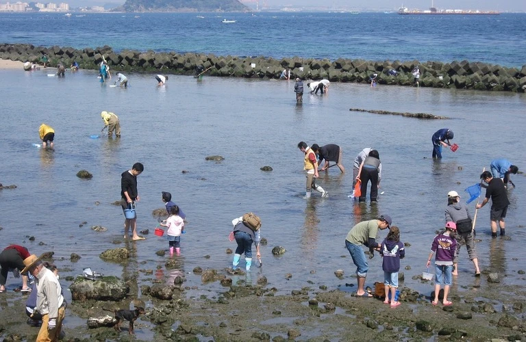 夏休みの学習を充実させよう！古川で個別指導のまるご塾が夏期講習を開催